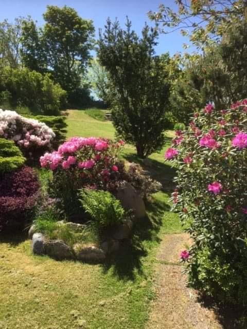 Bjergby Bed & Breakfast Bed and Breakfast Hjørring Exterior foto